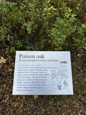 Blue Sky Ecological Reserve