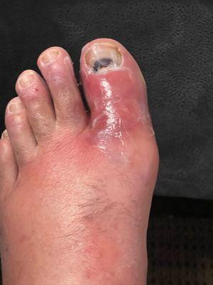 Sleep Inn & Suites Gallatin-Nashville Metro