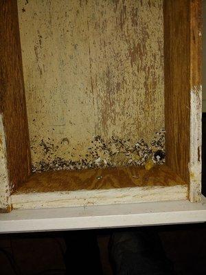 How deep do you want to go.