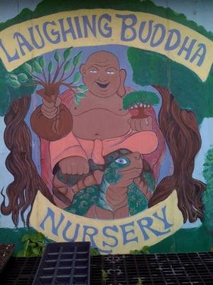 Laughing Buddha Nursery