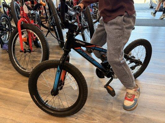 Hyland Family Bicycles