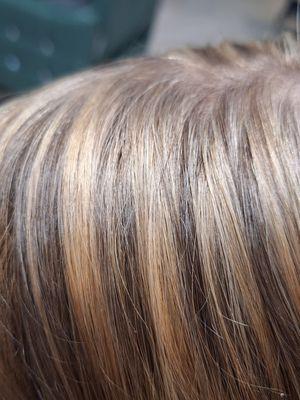 Sage Family Foil Weave Highlights!