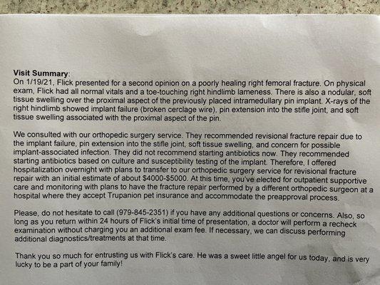 Buffalo Animal Hospital