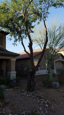 P&S Services Pool Service and Landscaping