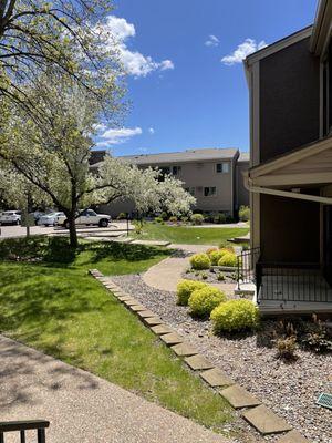 Shadow Green Apartments