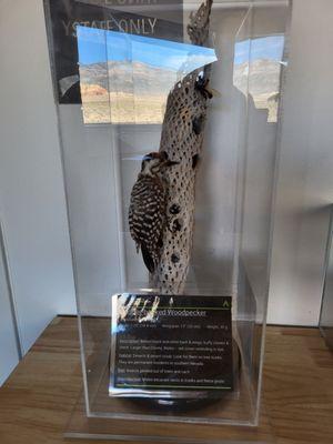 Red Rock Canyon Visitor Center