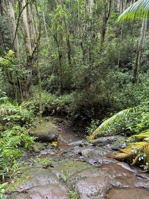 Hau'ula Loop Trail