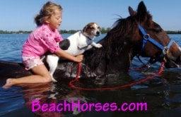 Great World Adventures, LLC