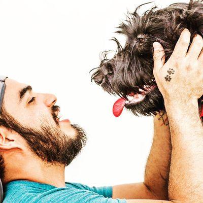 Sit Stay Dog Training USA