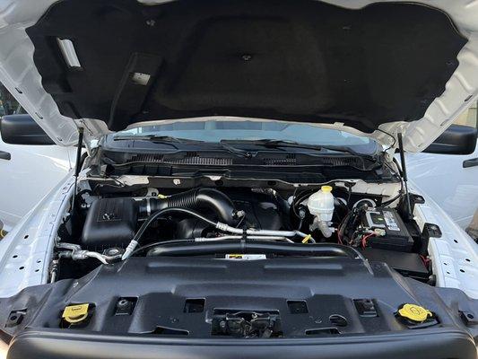 Rapid Mobile Detailing