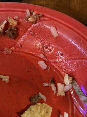 Salsas Mexican Restaurant