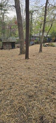 Forest Tree And Landscaping Services