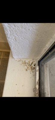 River Court Apartments