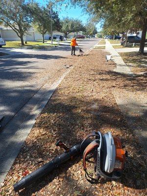 Eastman Lawn Care