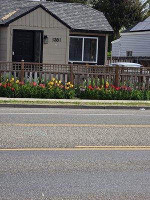 Polo Three PG's Landscaping And More