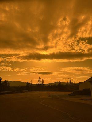 Vineyard Christian Fellowship