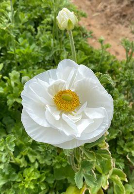 Dependable Coffee & Water Service