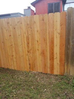 The back side of the fence