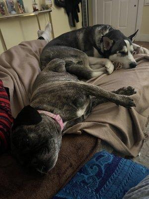 Claudia Navarro Cleaning