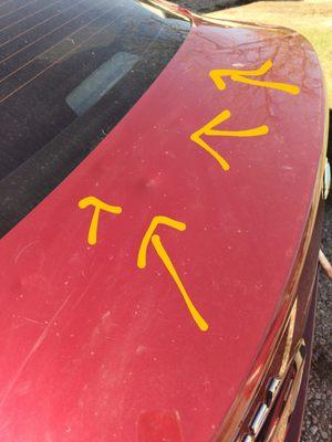 Texas Hail & Dent Company