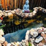 Crystal Clear Reflections Pond and Water Feature Design