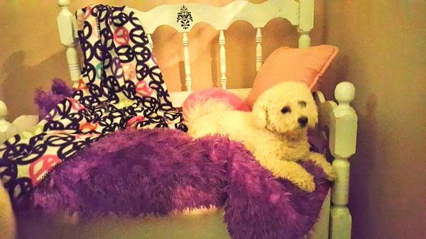 Custom beds and bedding