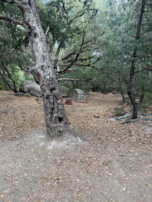 Fry Creek Campground