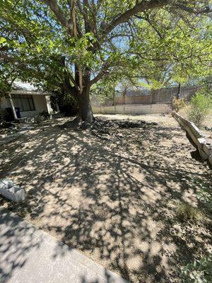 Speedy cleaning services