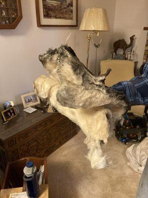 Small portion of the large amount of fiberglass insulation still left in the chimney after Stelte charged for supposedly removing it.