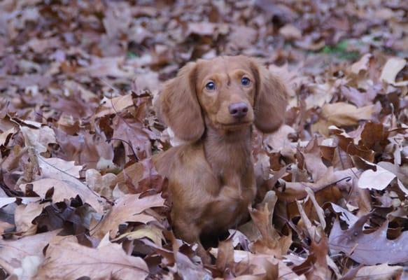 Gillette Photography