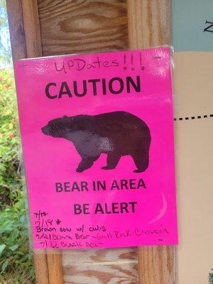 Porcupine Campground Chugach National Forest