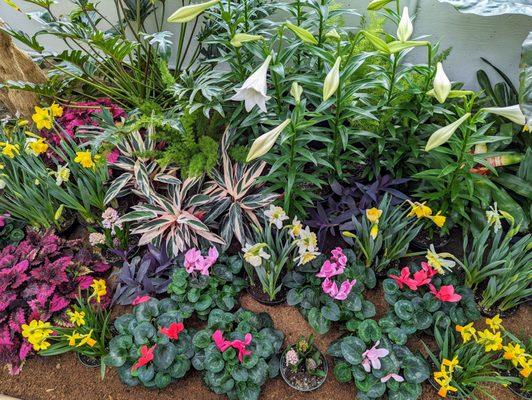 Wilder Park Conservatory