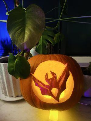 Work done by Dr. Z. Beautiful carvings on a lit pumpkin with definition and elegance.