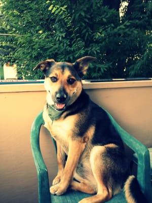 To Whom The Ball Rolls