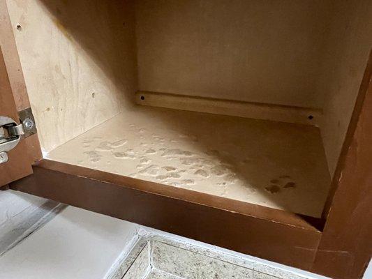 Progress Residential