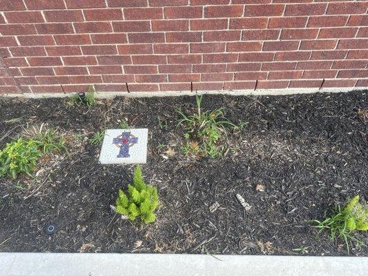 Yard Works Gulf Coast