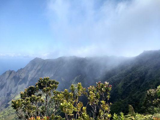 Pu'u o Kila Lookout