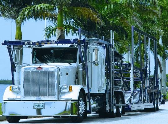 Budget Auto Shipping