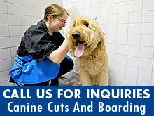 Canine Cuts And Boarding