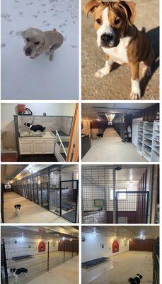 Country Barn Dog Kennel LLC
