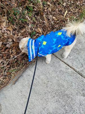 Another view of the puff vest