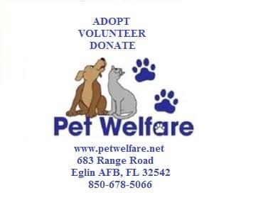 Pet Welfare Adoption Center