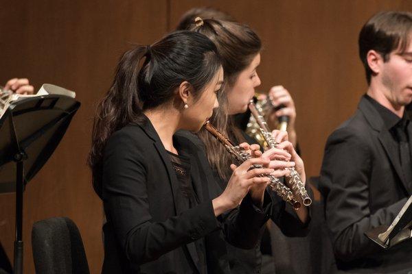 Nan Melville Photography & Video