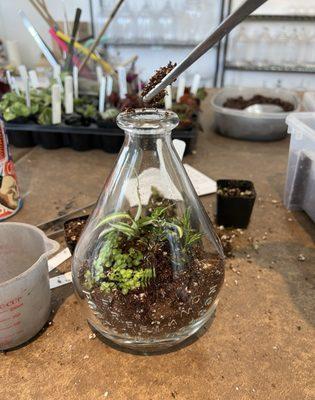 Roosevelt Terrariums