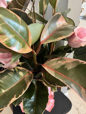 Sunny Day Blossoms Design Studio