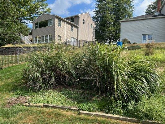 Fisher’s Dynamic Lawns