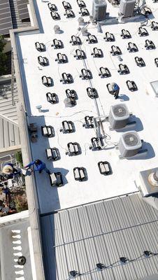 Sustainable Roofing & Solar