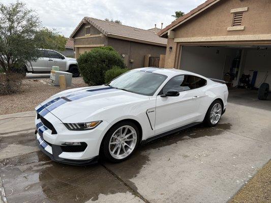 Mud2Suds Mobile Detailing