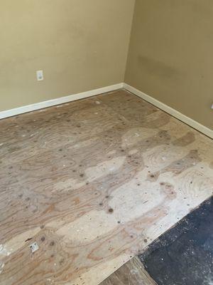 Apolo's Construction