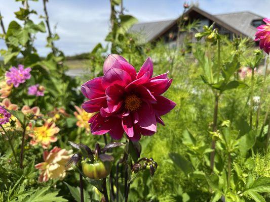 The Inn at Newport Ranch
